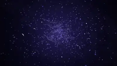 Logo reveals and intros